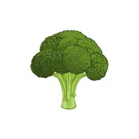 Broccolini | Low Sugar Vegetables Names in English