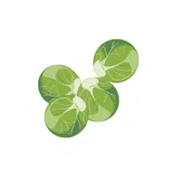 Brussels Sprouts