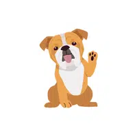 Bulldog | Pet Animals Names in English