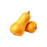 Butternut Squash