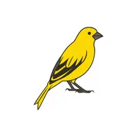 Canary | Pet Animals Names in English
