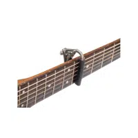 Capo | Guitar​ Parts Names in English