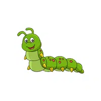 Caterpillar | Forest Animals Names in English
