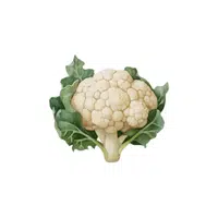 Cauliflower