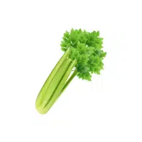 Celery | Low Sugar Vegetables Names in English