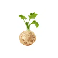 Celery Root