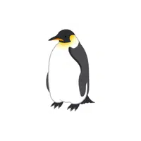 Chatham Island | Types of Penguins Names in English