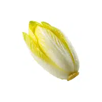 Chicory | Low Sugar Vegetables Names in English