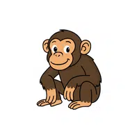 Chimpanzee