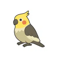 Cockatiel