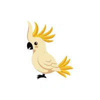 Cockatoo | Pet Animals Names in English