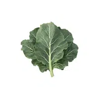 Collard Greens