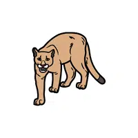 Cougar | Forest Animals Names in English