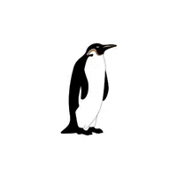 Crozet | Types of Penguins Names in English