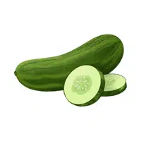 Cucumber | Low Sugar Vegetables Names in English