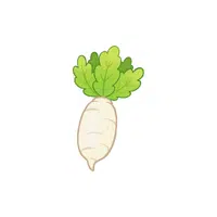 Daikon | Low Sugar Vegetables Names in English