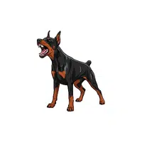 Doberman | Pet Animals Names in English