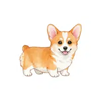  Dog | Pet Animals Names in English