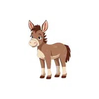 Donkey