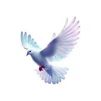 Dove | Pet Animals Names in English