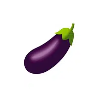 Eggplant | Low Sugar Vegetables Names in English