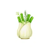 Fennel | Low Sugar Vegetables Names in English