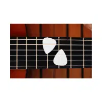 Fingerboard | Guitar​ Parts Names in English