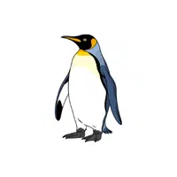 Flightless | Types of Penguins Names in English