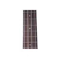 Frets | Guitar​ Parts Names in English