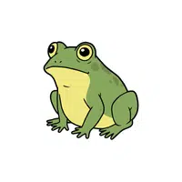 Frog | Forest Animals Names in English