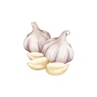 Garlic | Low Sugar Vegetables Names in English