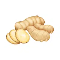 Ginger | Low Sugar Vegetables Names in English