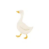 Goose