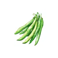 Green Beans