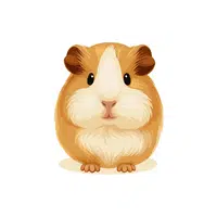 Guinea Pig