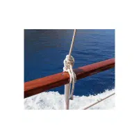 Gunwale