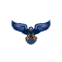 Hawk | Forest Animals Names in English