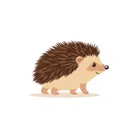 Hedgehog