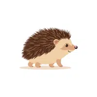 Hedgehog