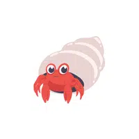 Hermit Crab