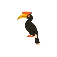 Hornbill | Forest Animals Names in English