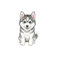 Husky | Pet Animals Names in English