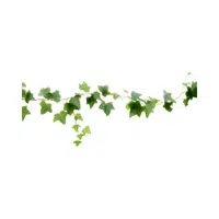 Ivy Gourd | Low Sugar Vegetables Names in English