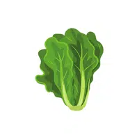 Kale | Low Sugar Vegetables Names in English