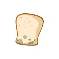 Kamut Bread | Types of Bread Names in English