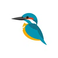 Kingfisher | Forest Animals Names in English