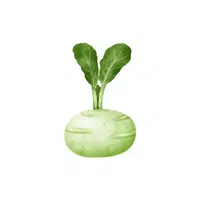 Kohlrabi | Low Sugar Vegetables Names in English