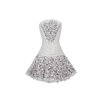 Lace | Mini Dresses Names