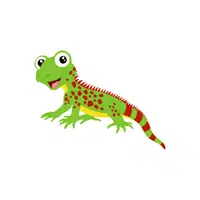 Lizard | Forest Animals Names in English