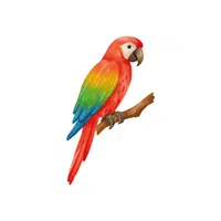 Macaw | Pet Animals Names in English